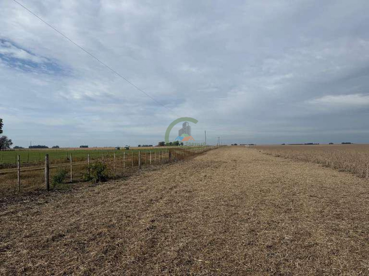 639 Ha Mixto - Urdampilleta - Bolivar