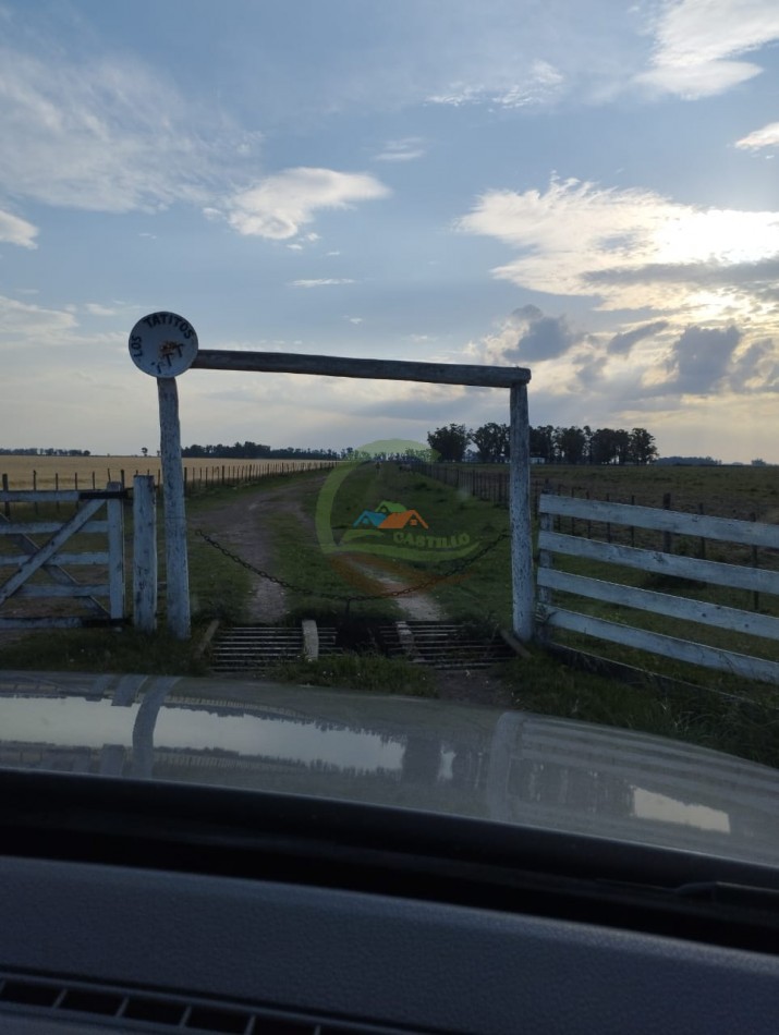 256 ha Mixto - Saladillo