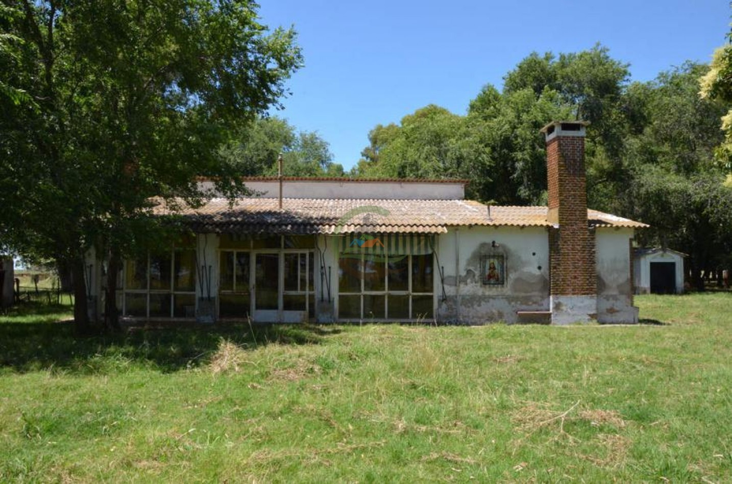 787 Ha Ganadero - Espigas - Olavarria