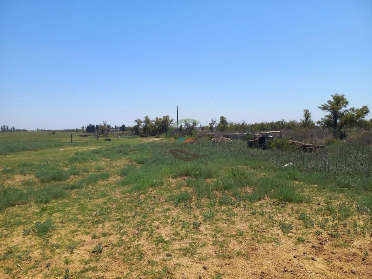 25 Ha Agricolas - Holmberg - Rio Cuarto