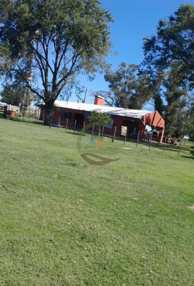 350 ha Agricolas - San Cayetano