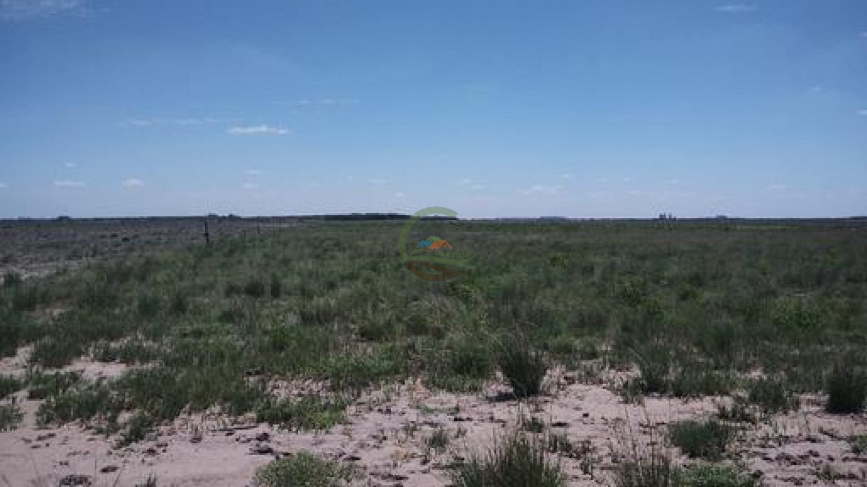 1900 Ha Mixto - Laboulaye - Cordoba