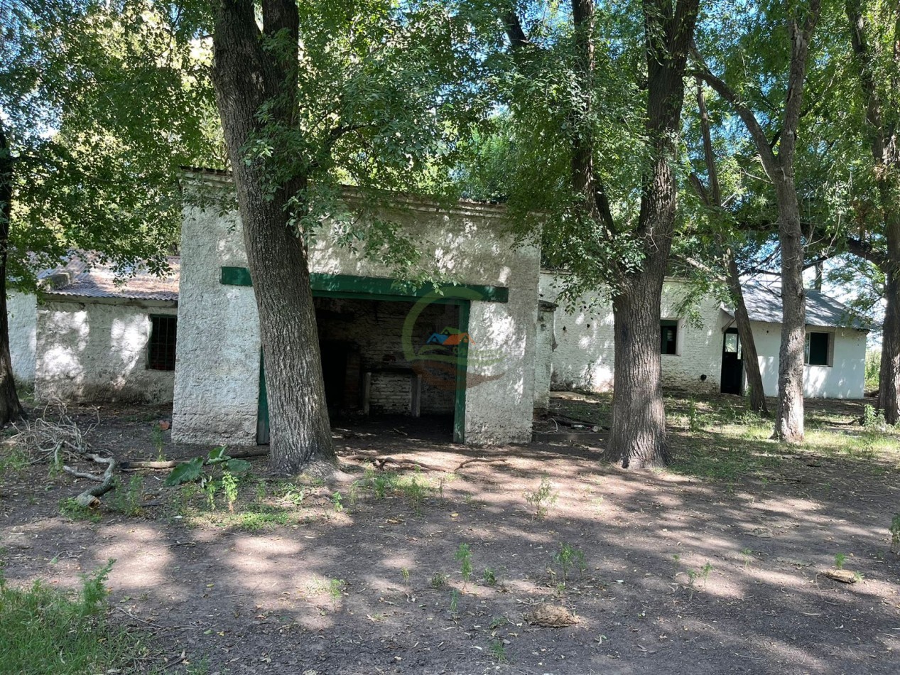 109 ha Feed Lot - Las Flores