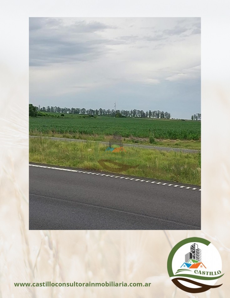 63 ha agricolas - pergamino
