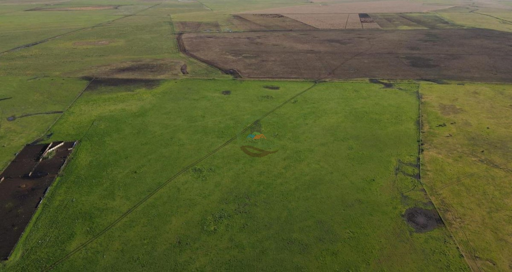 1437 Ha Mixta - Olavarria