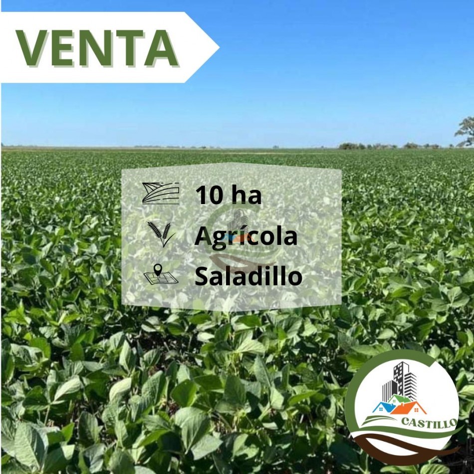 10 ha agricolas - saladillo