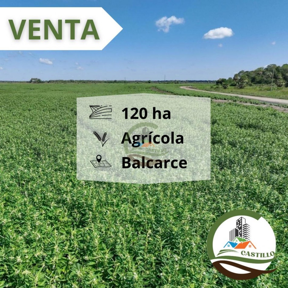 116 ha agricolas - balcarce