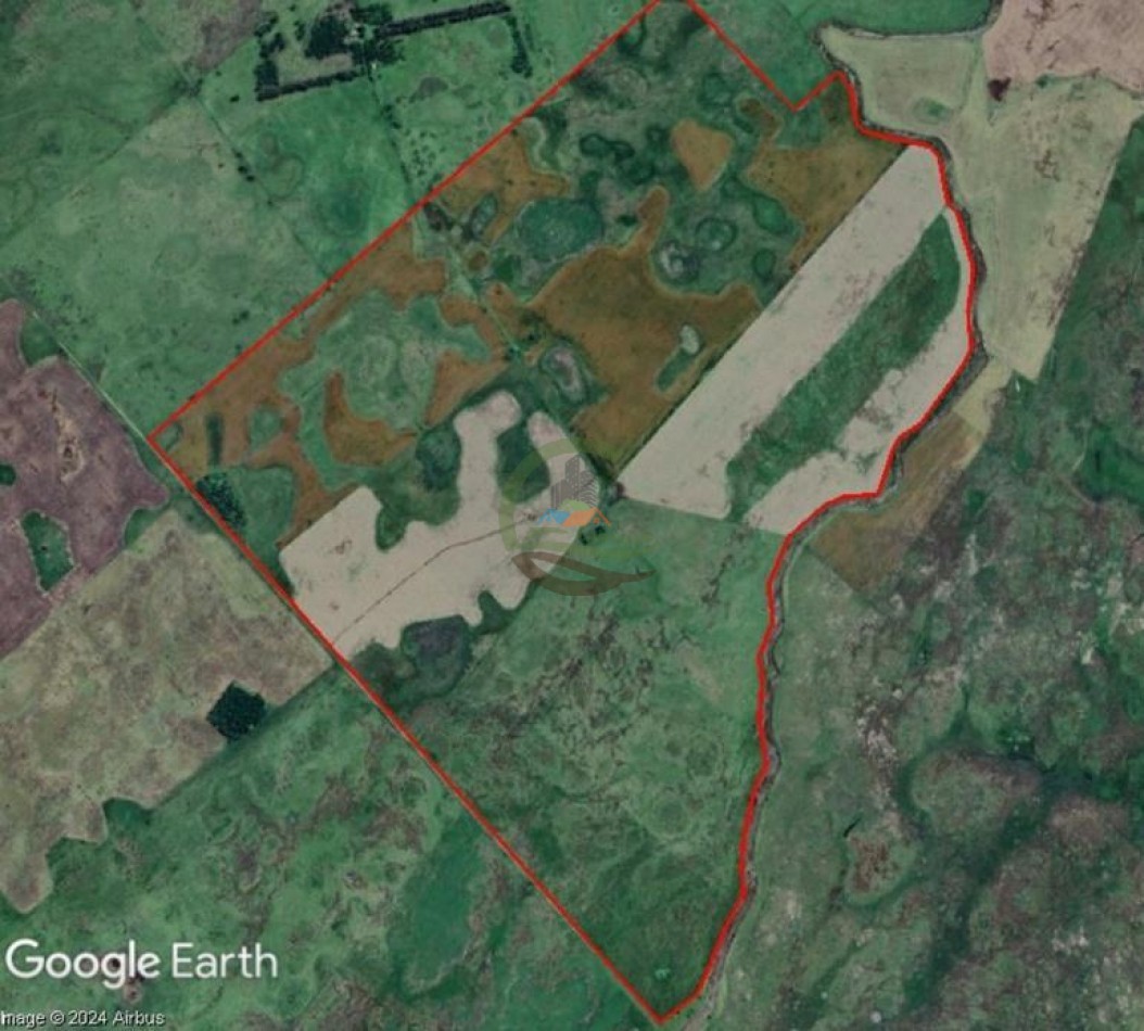 440 Ha Mixta - Crotto - Tapalque