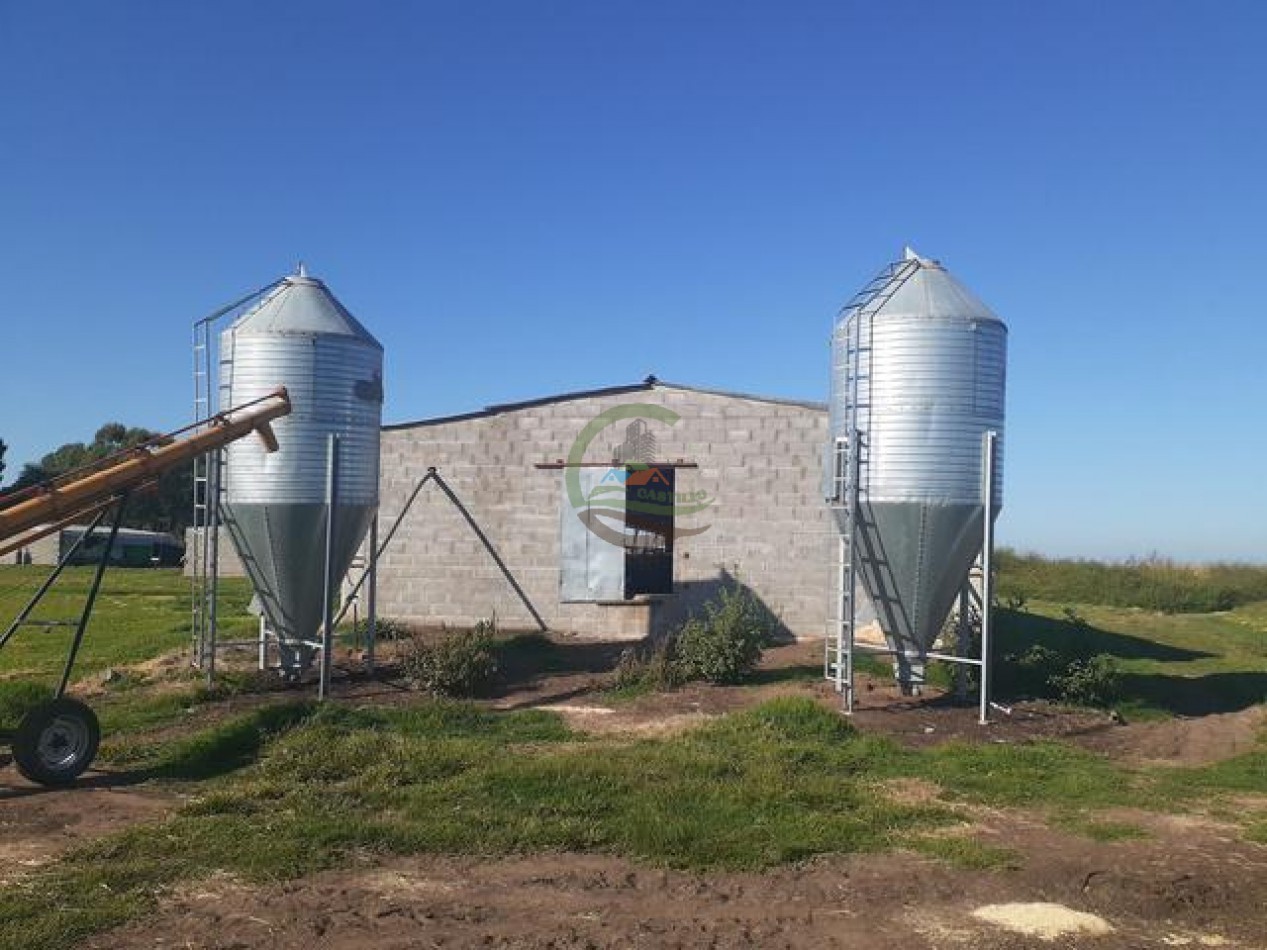 95 Ha Granja de Cerdos - Trenque Lauquen