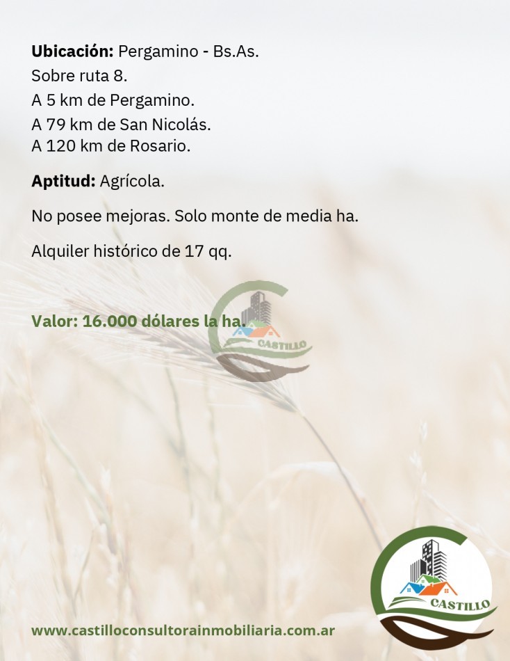 65 ha agricolas - pergamino