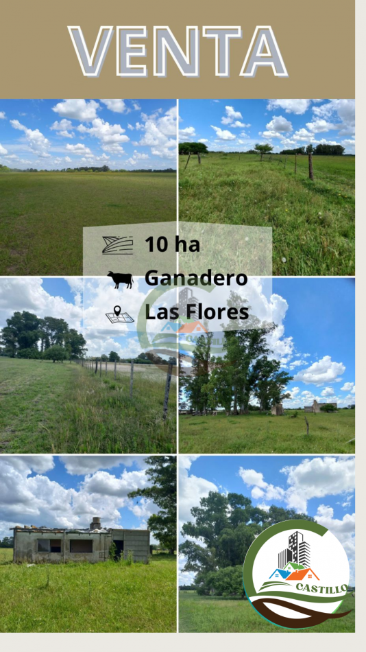 10 ha ganadera - las flores