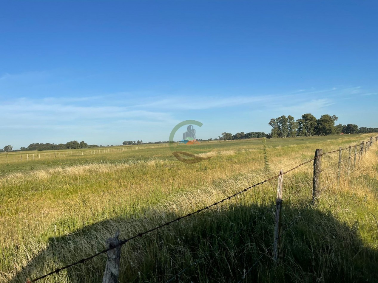 18 ha Mixtos - Pedernales