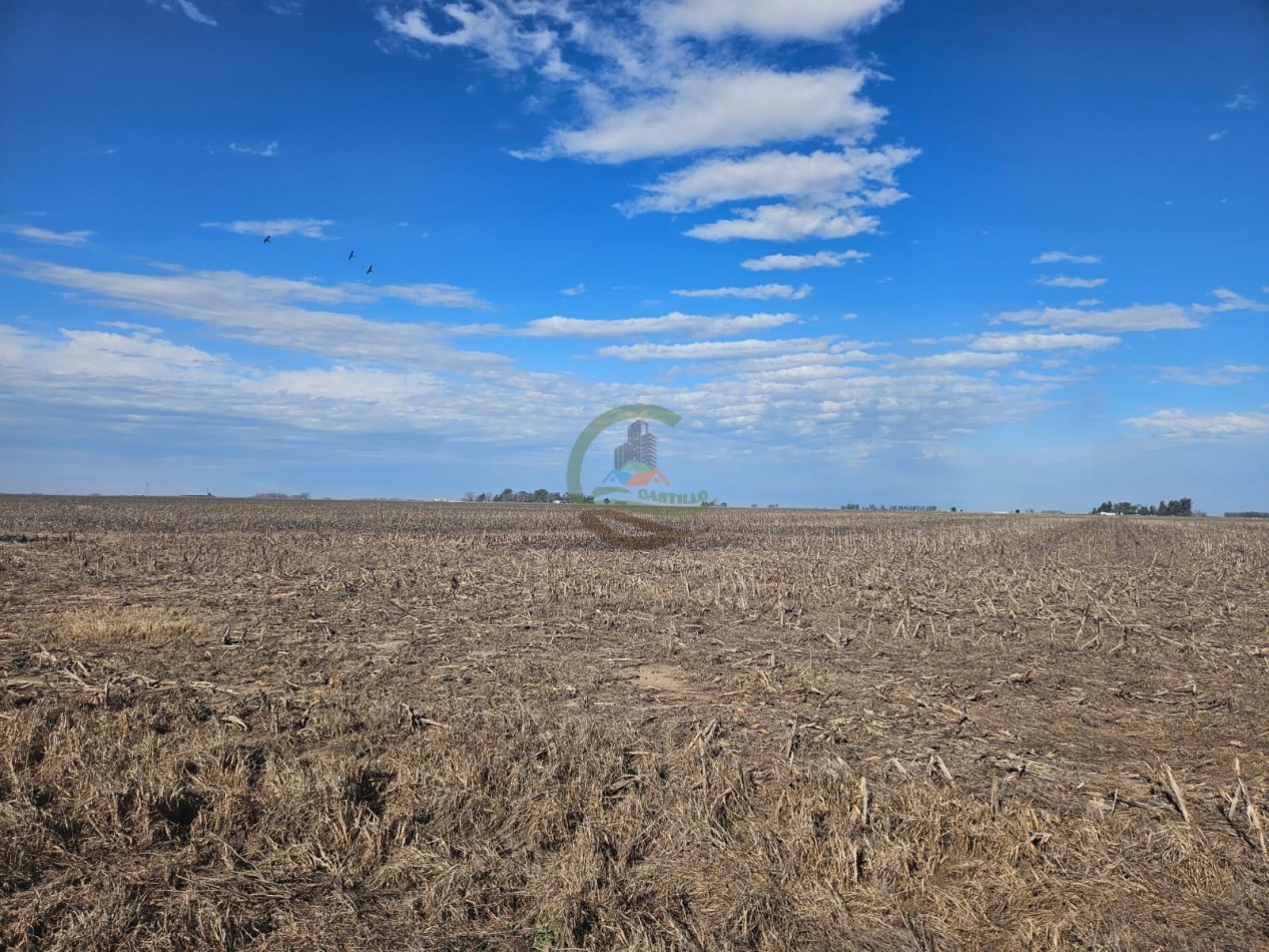 797 ha Agricolas - Bolivar