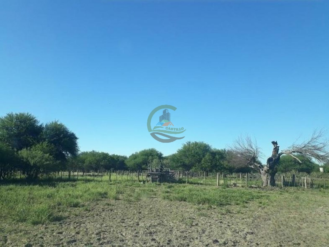 4954 Ha Ganadero - La Adela - La Pampa