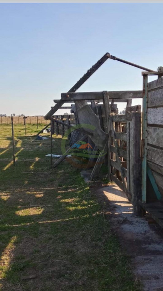 200 ha MIxtas . Tapalque 