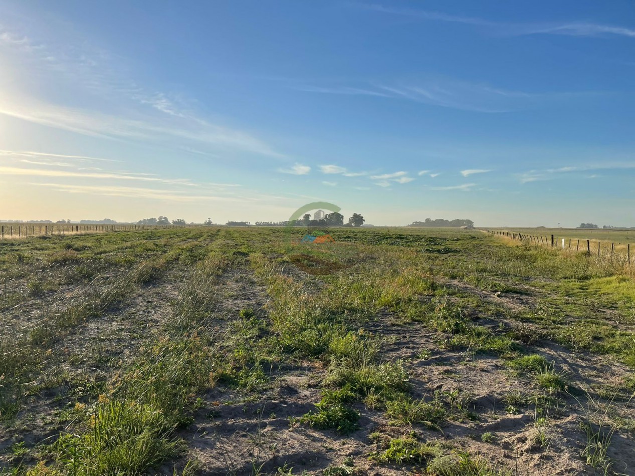 18 ha Mixtos - Pedernales