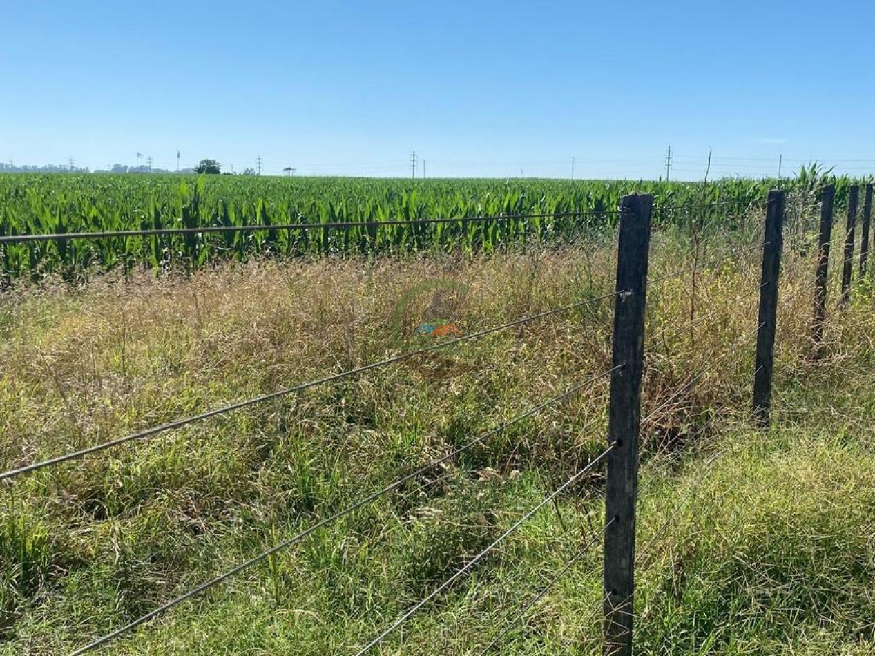 58 Ha Agricolas - Bolivar