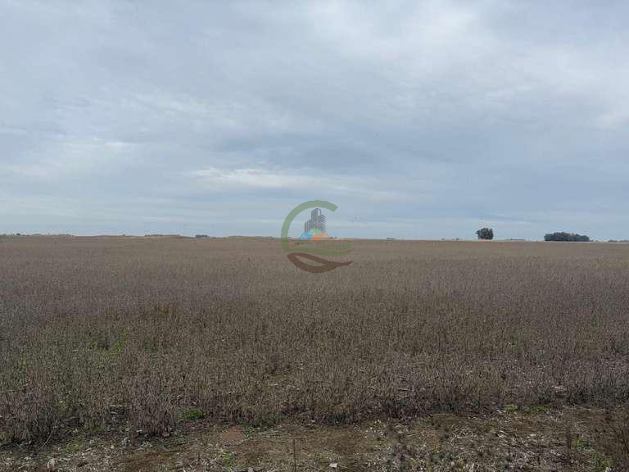 639 Ha Mixto - Urdampilleta - Bolivar
