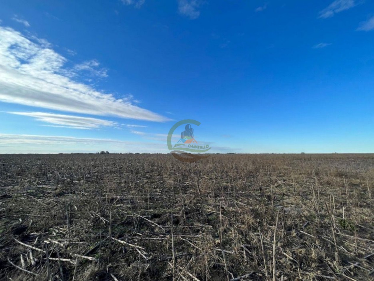 150 ha Mixtas - Polvaredas