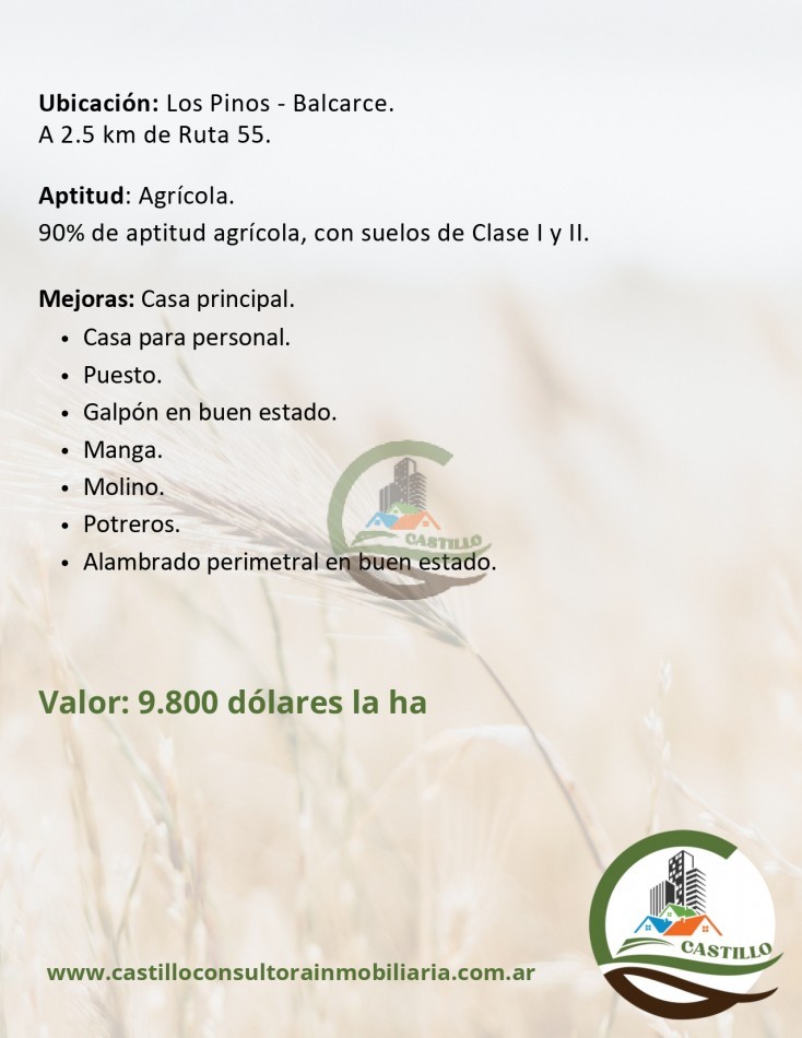 113 ha agricolas - balcarce