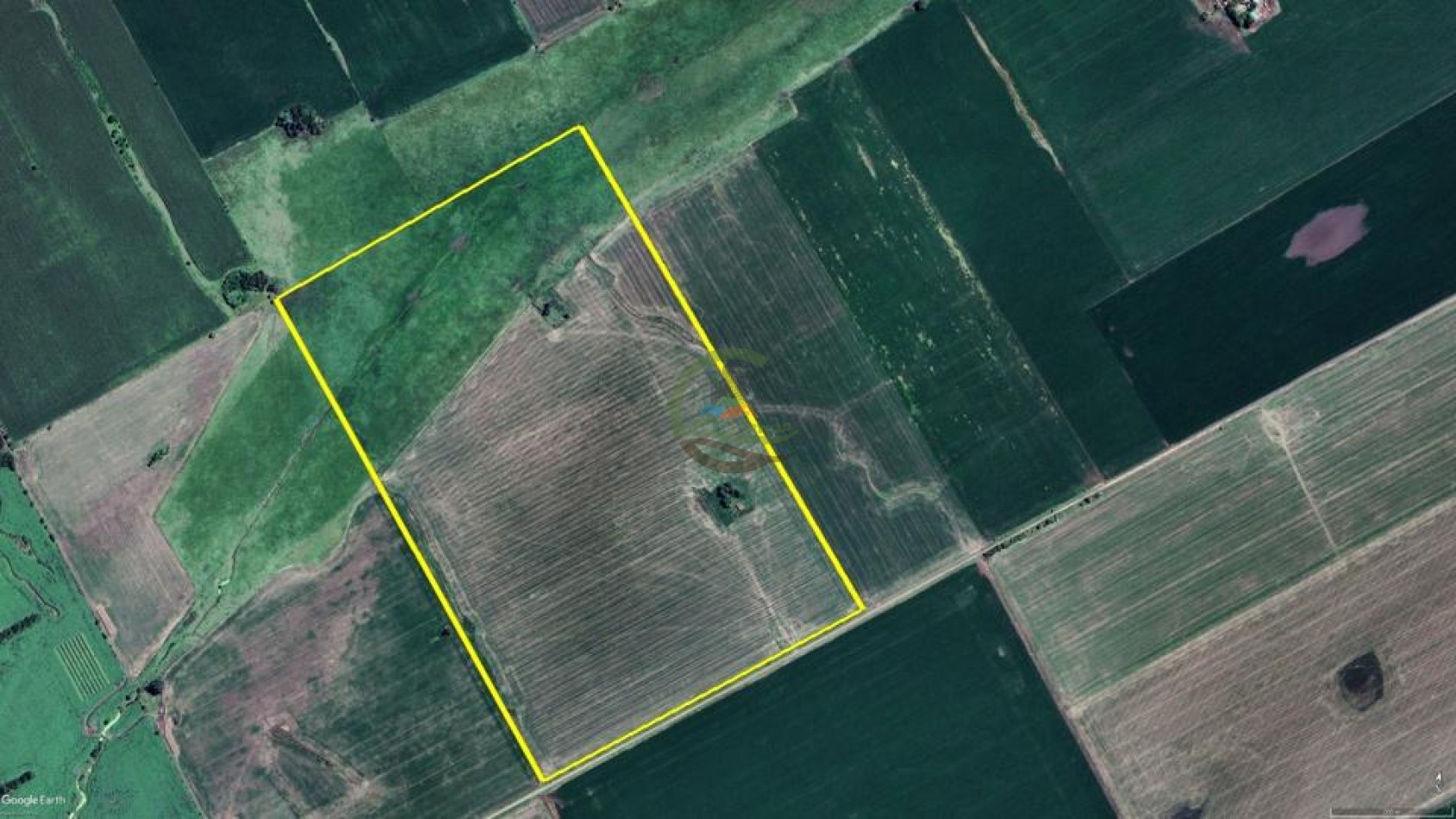 55 Ha Mixto - Salto