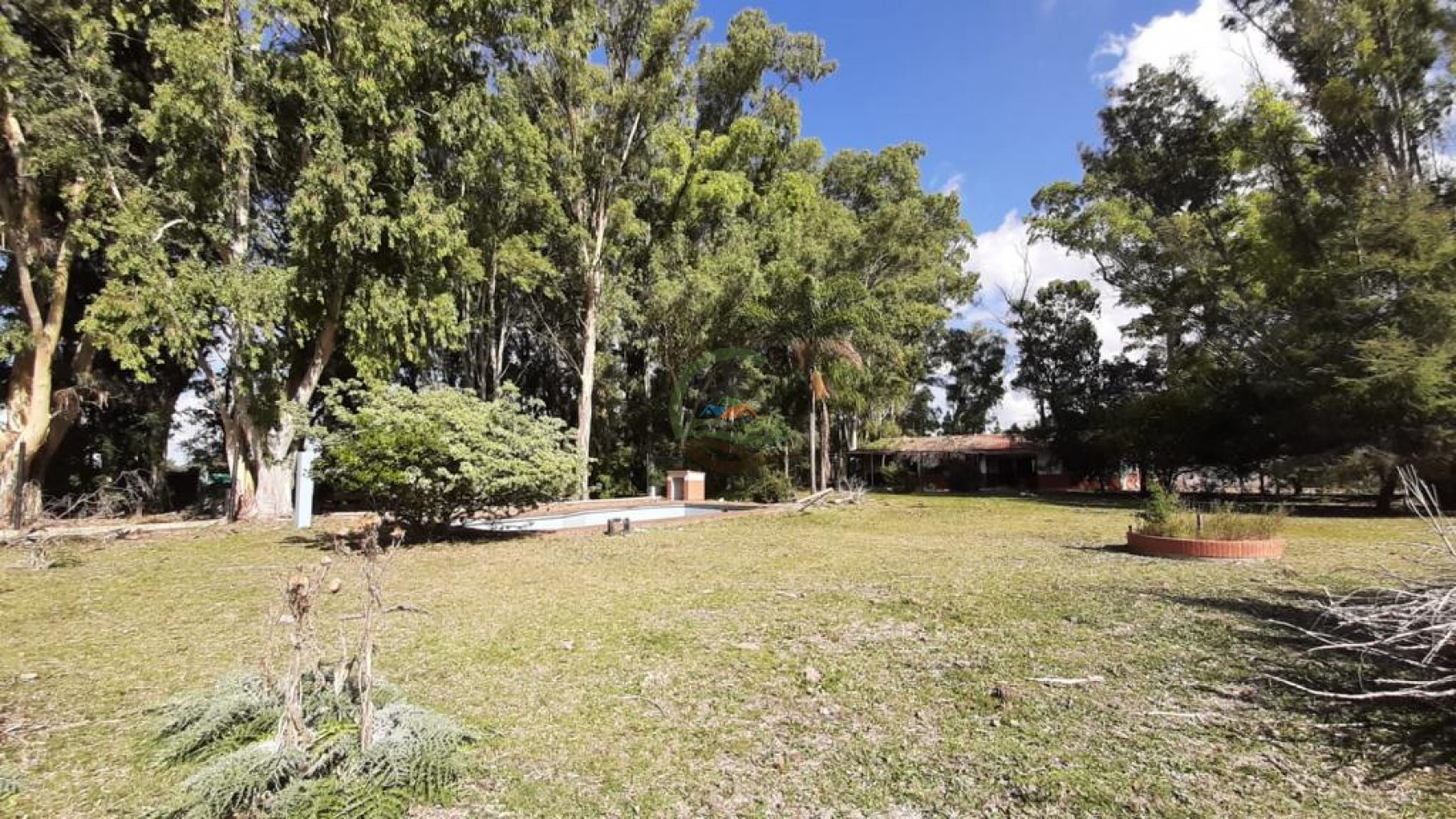 64 ha mixto - punta indio