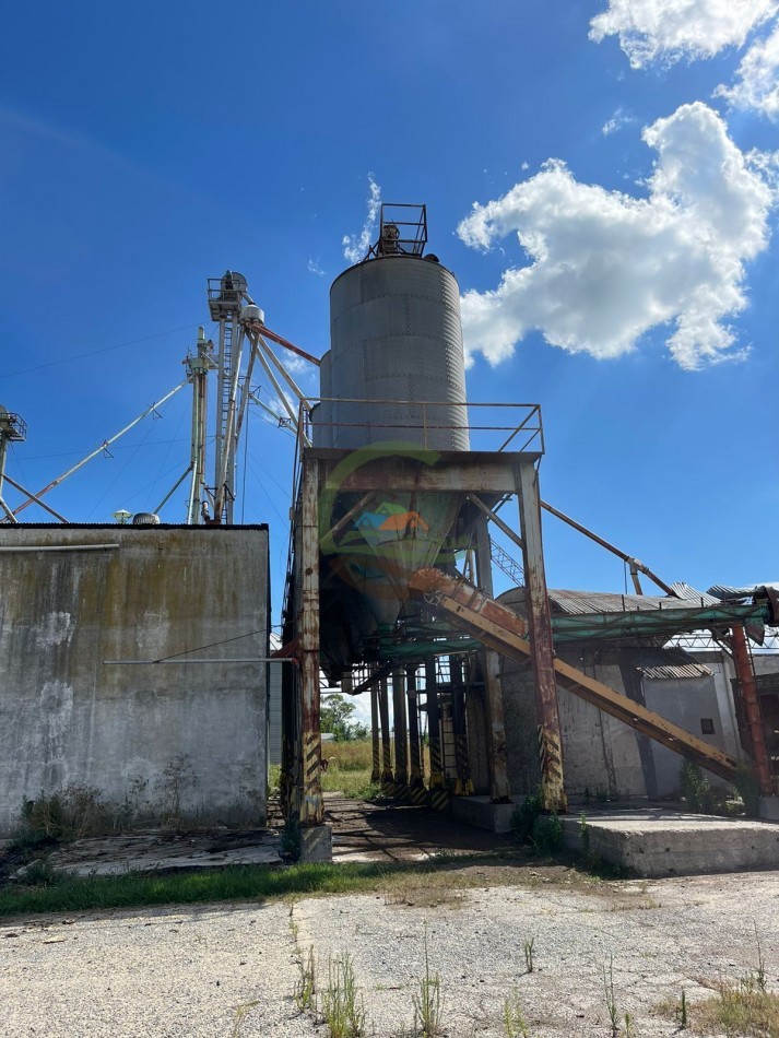109 ha Feed Lot - Las Flores