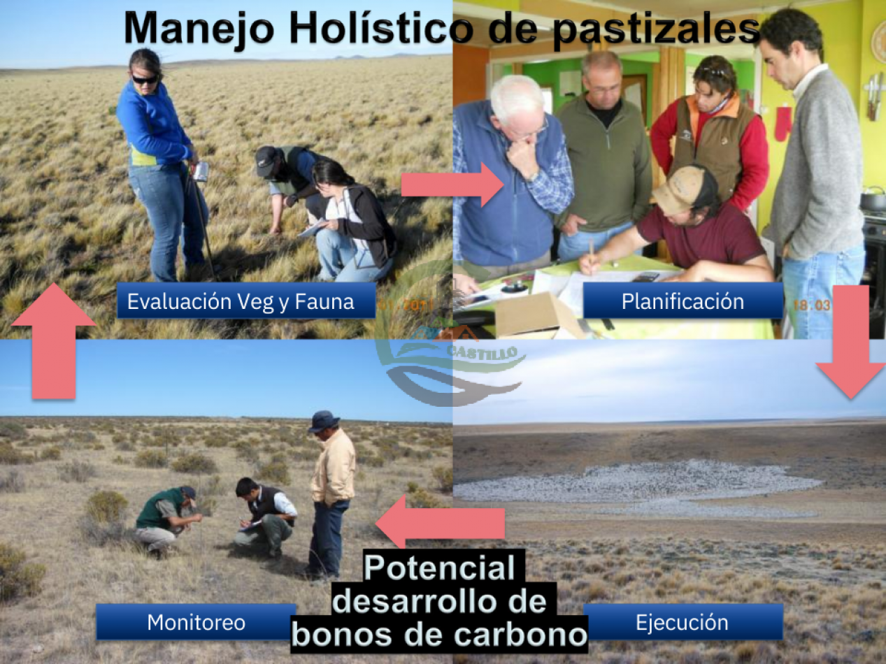 74000 ha Mixtas - Rio Colarado