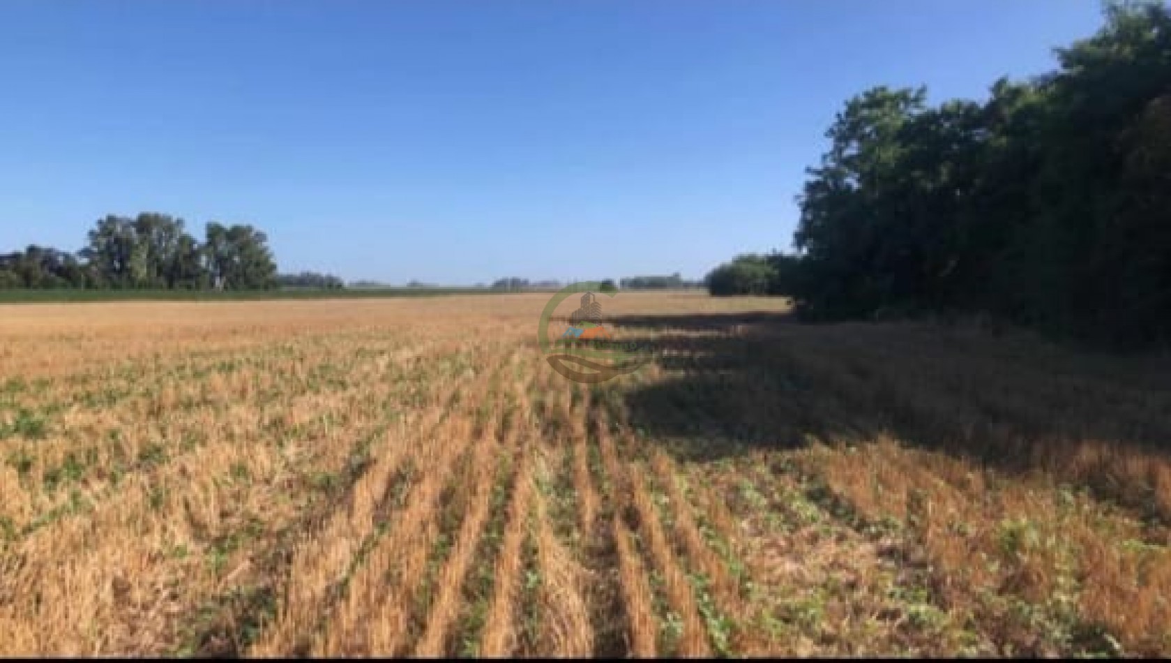 40,3 ha Mixtas - Saladillo