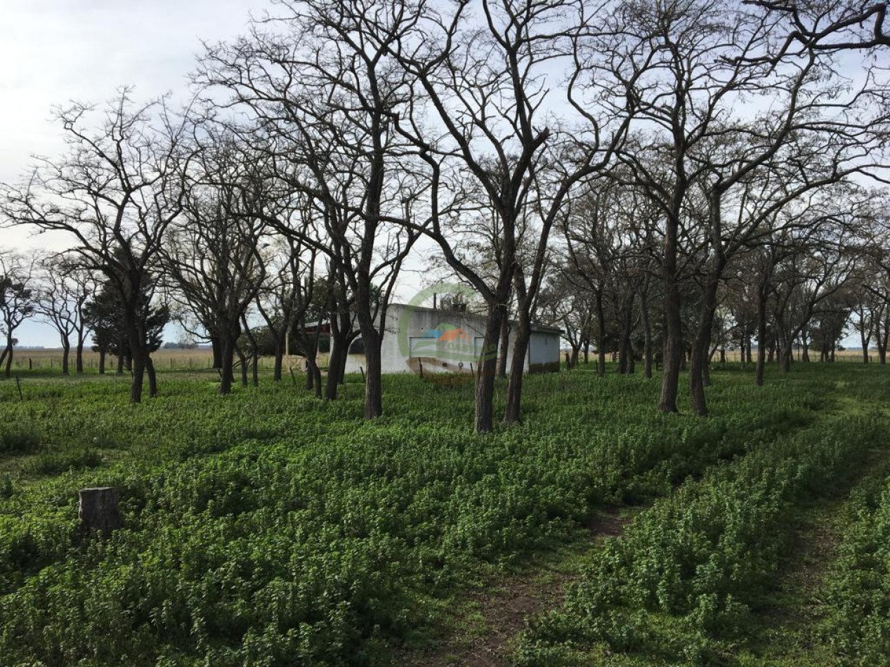 380 ha Mixtas - Bolivar