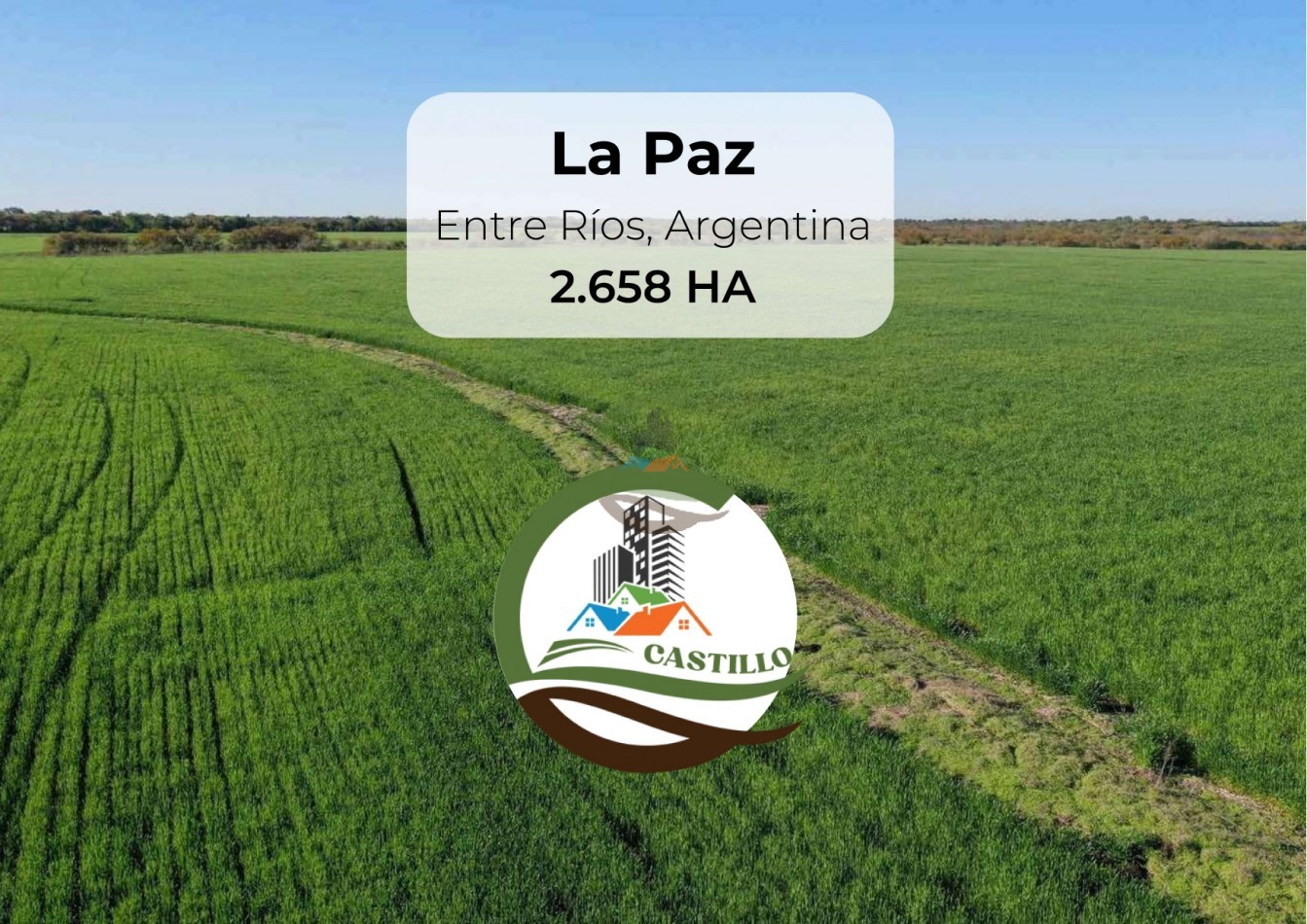 2658 ha Mixto - Entre Rios