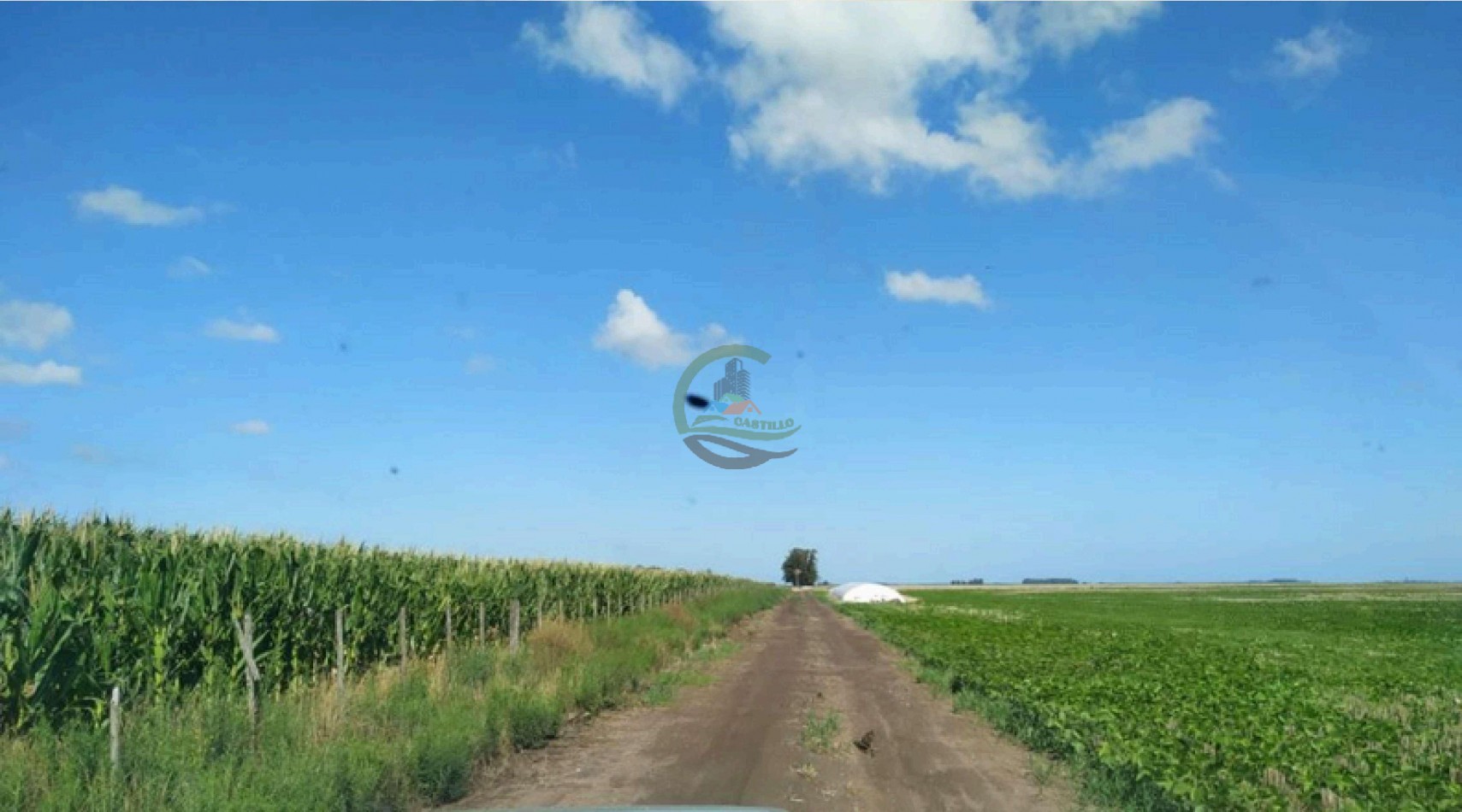 408 Ha Agricola - Miramar