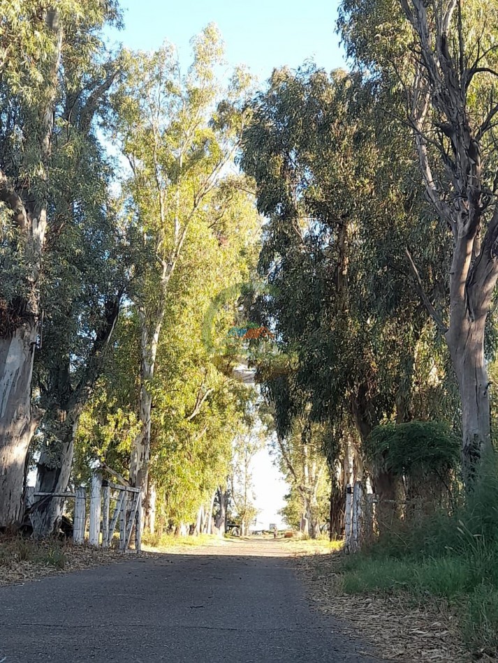 2200 Ha Agricolas - Laboulaye - Cordoba
