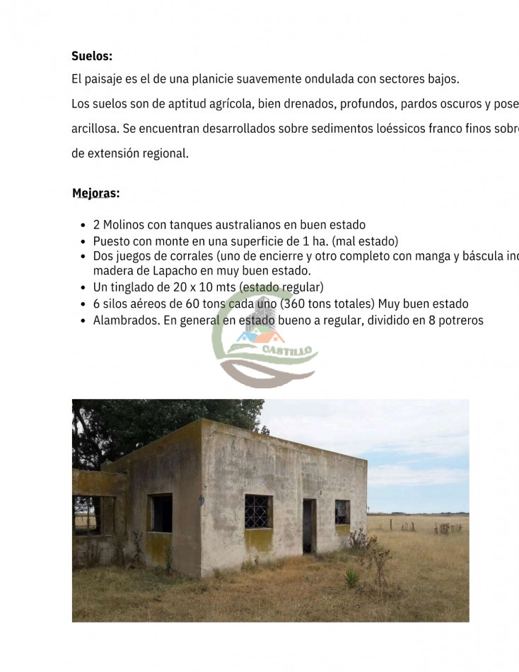 304 ha Mixtas - Olavarria 