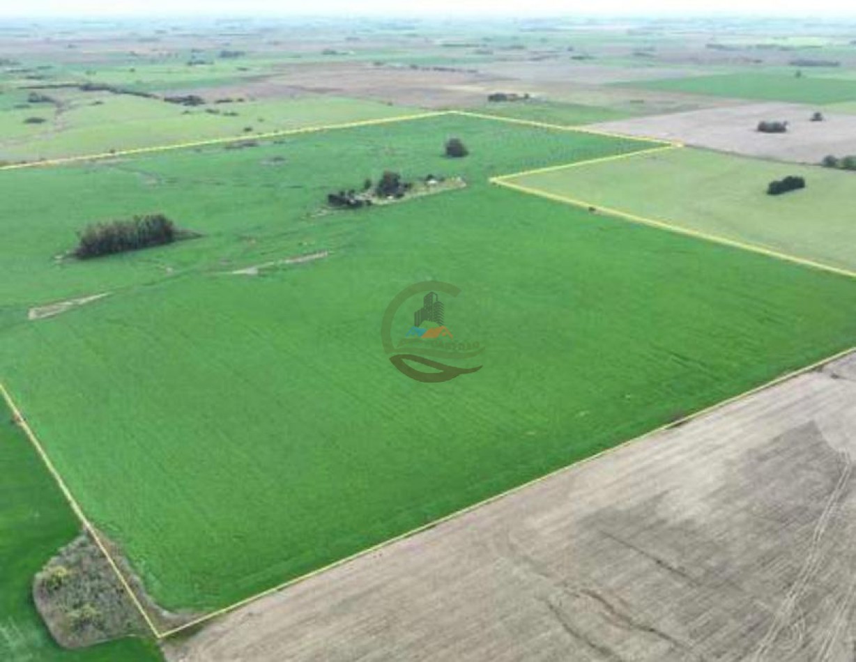 211 Ha Agricolas - Arrecifes