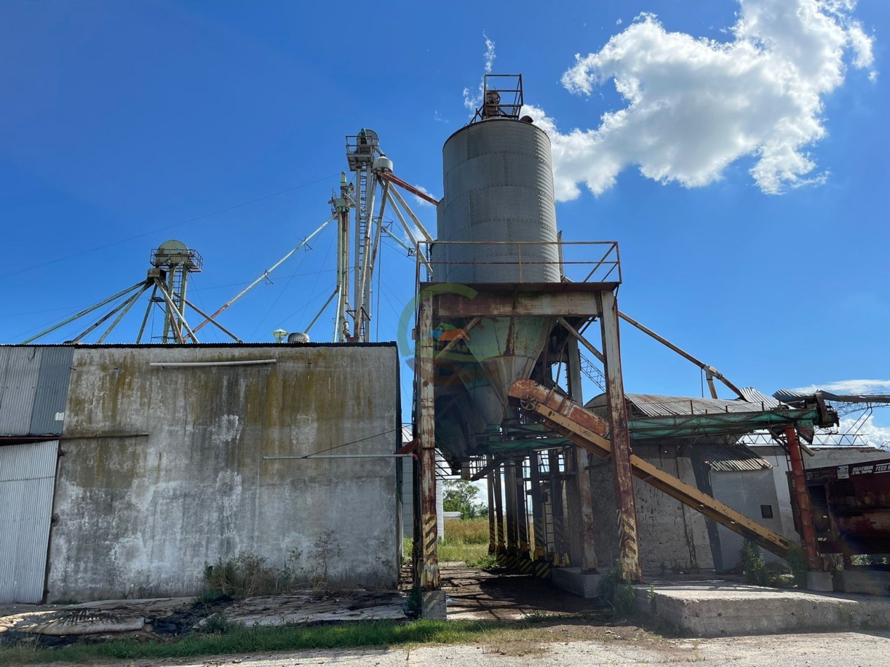 109 ha Feed Lot - Las Flores