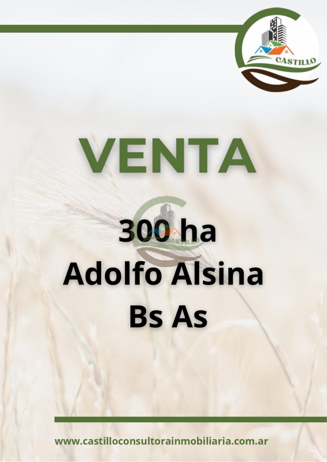 300 ha mixtas - adolfo alsina