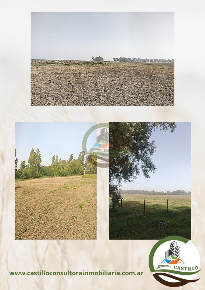 775 ha mixtas - general villegas