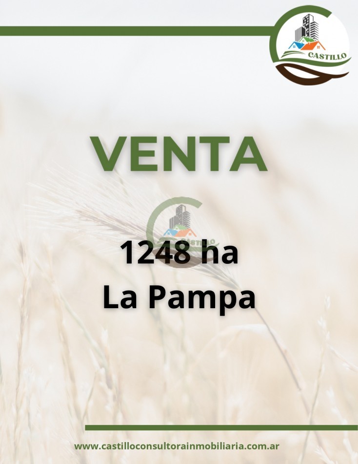 1248 ha mixto - la pampa
