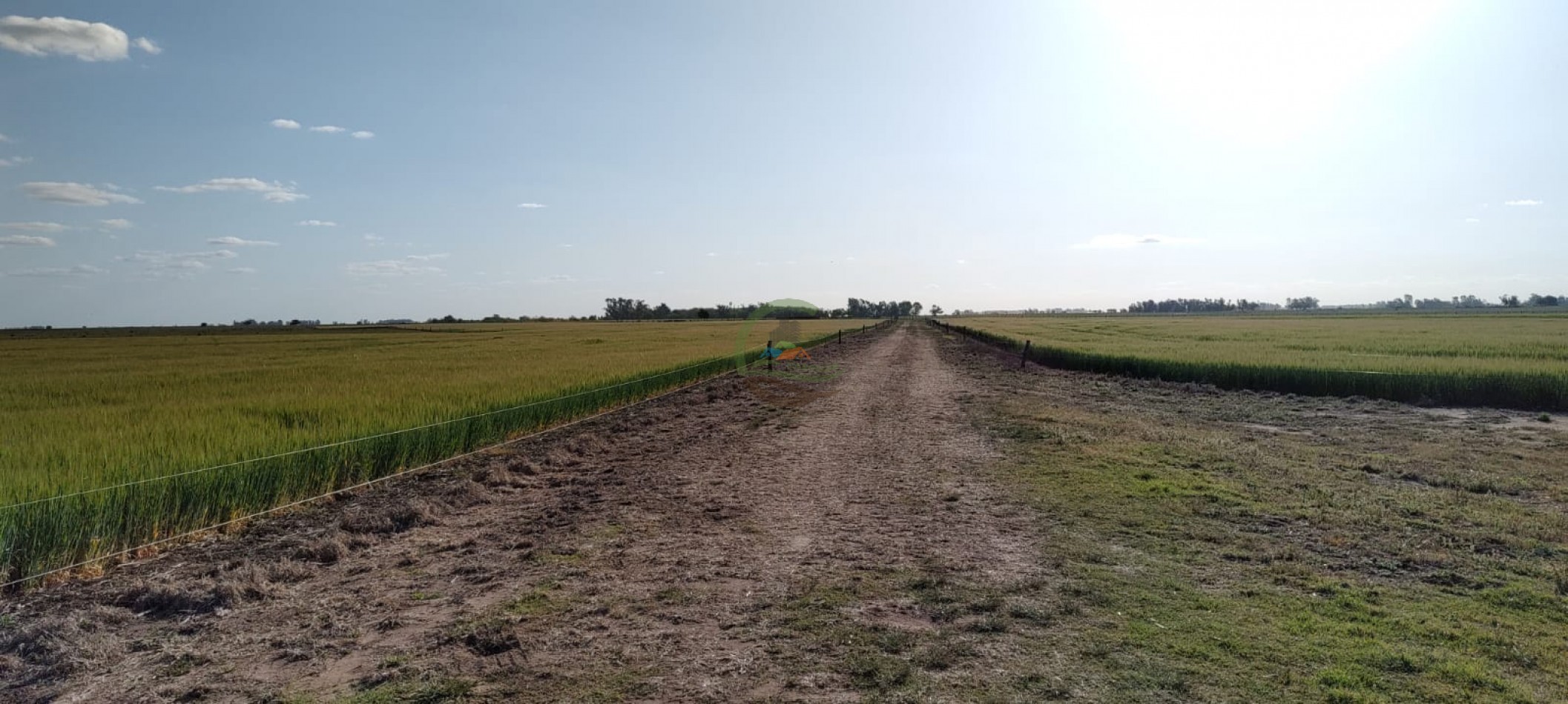 119 ha MIxtas - Gral Alvear