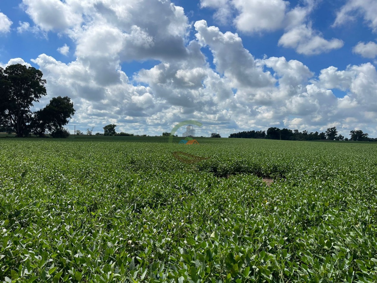84 ha mixta - Bolivar