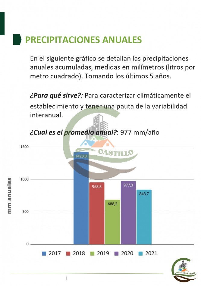 315 ha Mixto - Balcarce