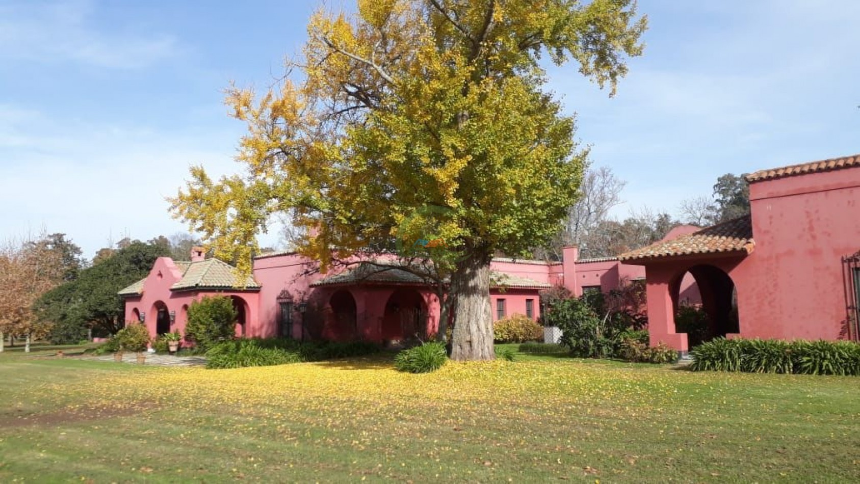 8616 ha Ganadero - Gral Lavalle