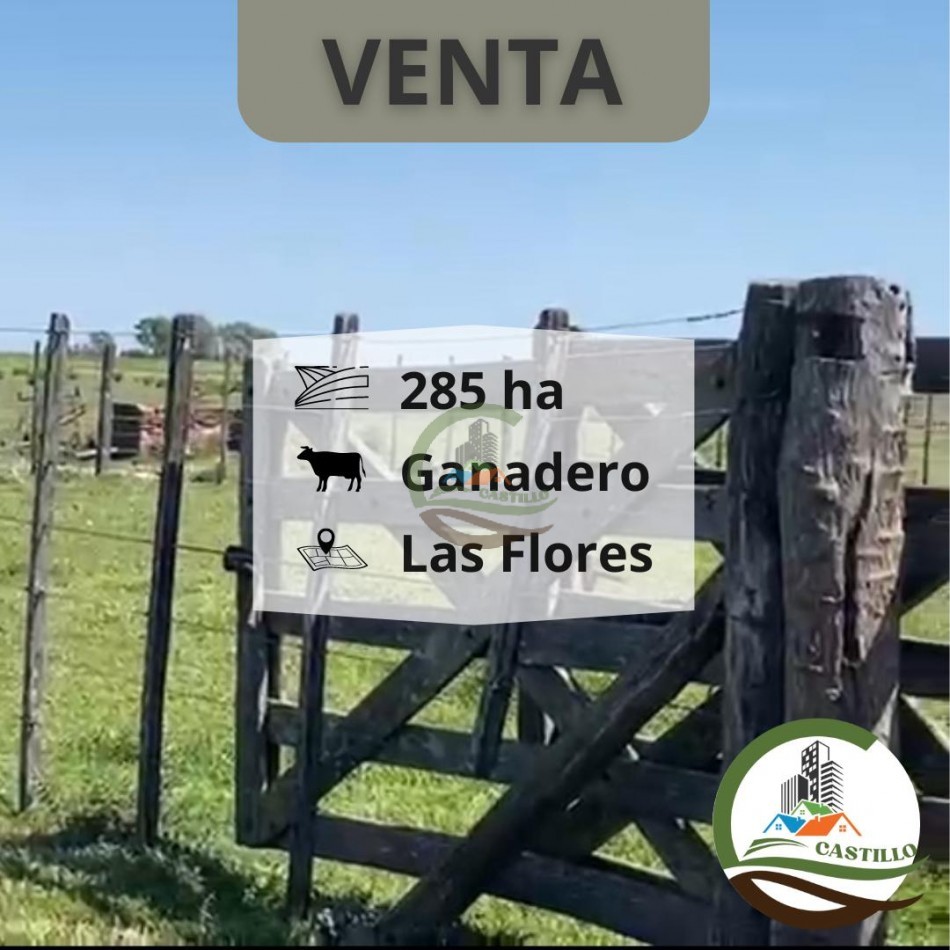 280 ha ganadero - las flores