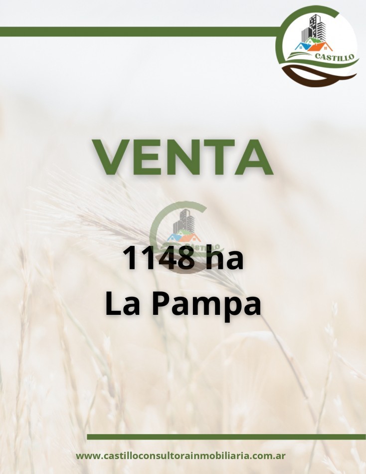 1148 ha mixto - la pampa