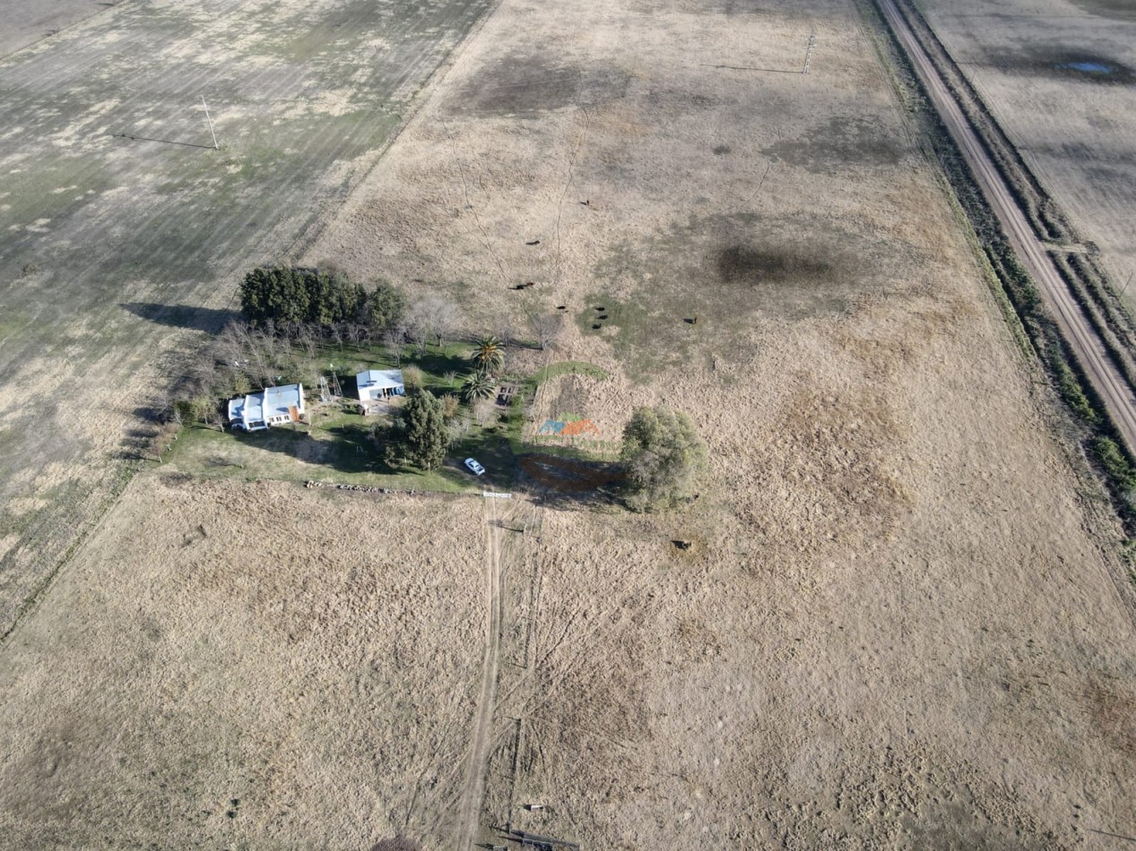 12,6 ha Mixtas - Saladillo