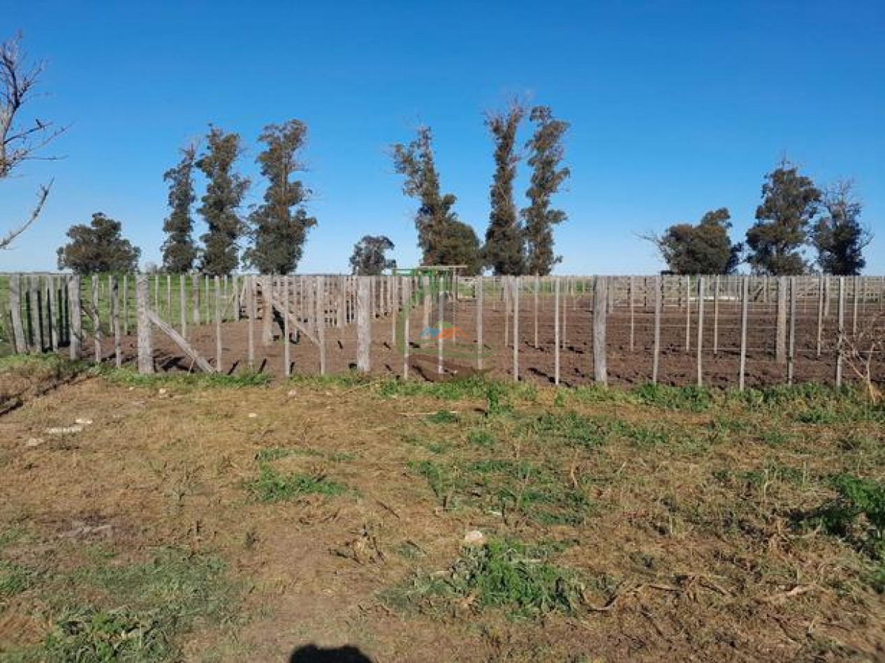 324 Ha Agricolas - San Cayetano