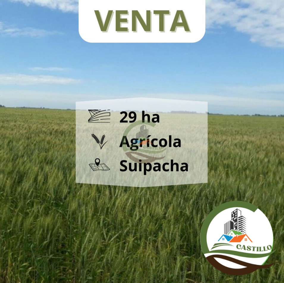 29 ha agricolas - suipacha