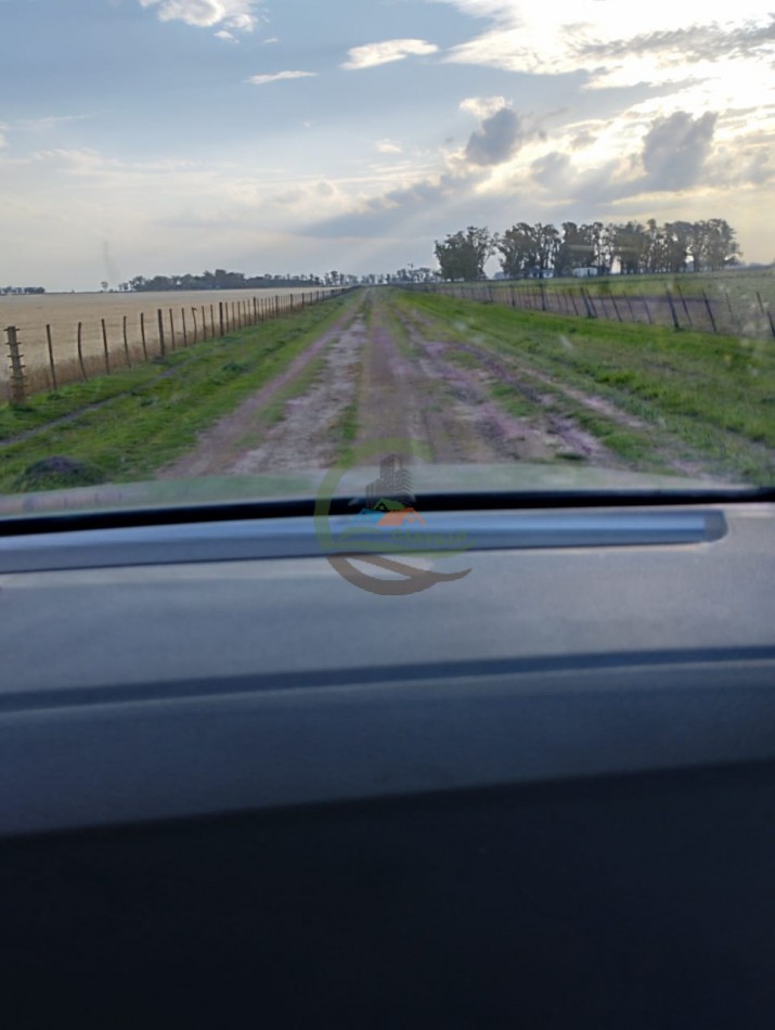 256 ha Mixto - Saladillo