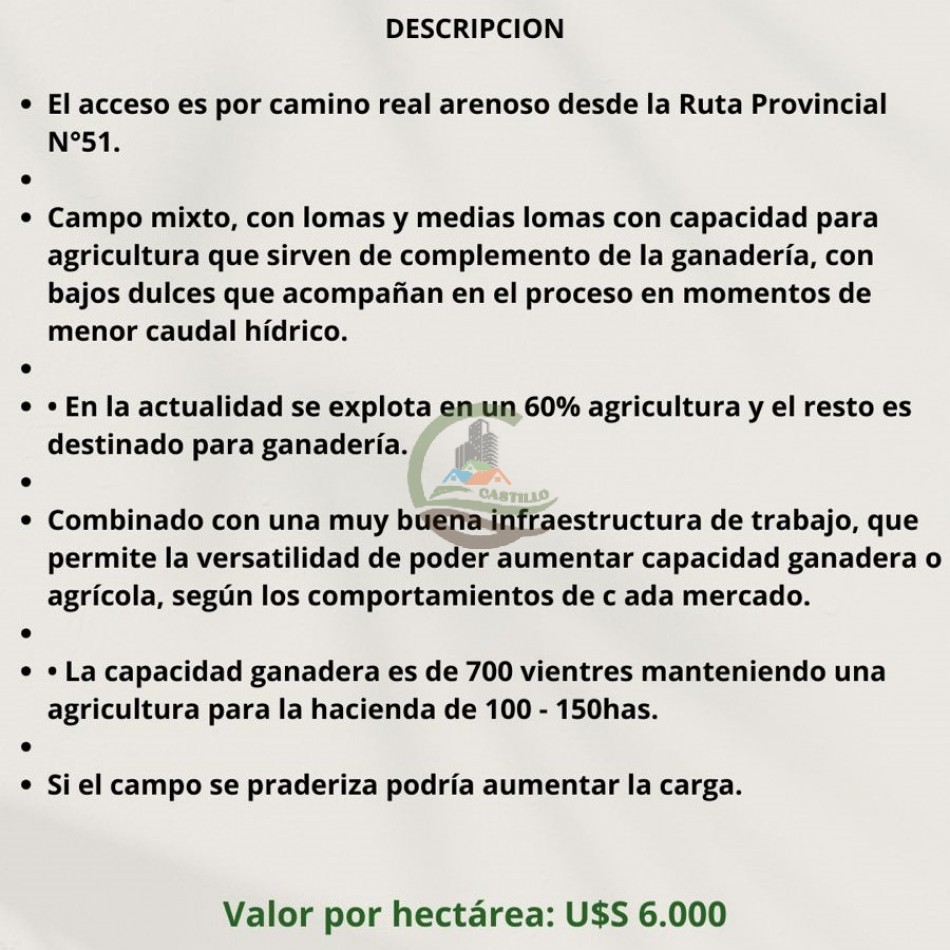 617 ha Mixtas - Saladillo